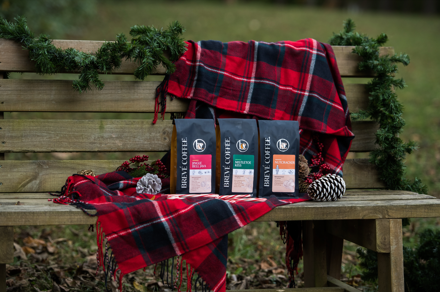 Brevé Holiday Collection